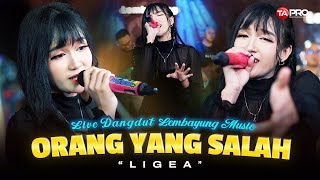 Download lagu ORANG YANG SALAH - LIGEA (LIVE DANGDUT LEMBAYUNG MUSIC) | Gayung tak bersambut mp3