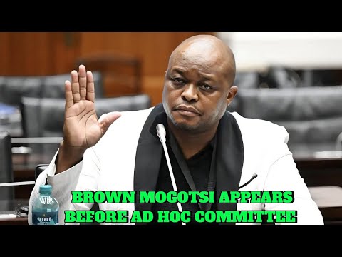 Brown Mogotsi Appears before Ad Hoc Committee 