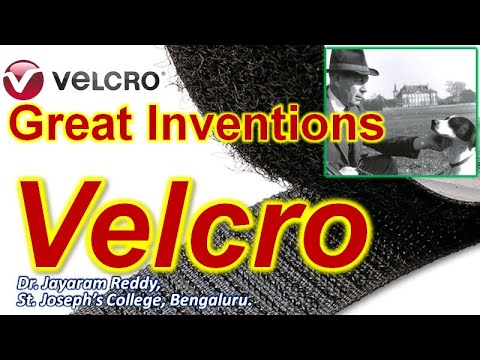 Great Inventions| VELCRO| Georges de Mestral| Switzerland| Biomimetics| Burdock| Actium tomentosum|