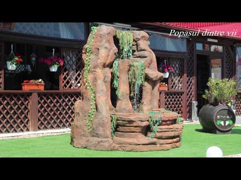 POPASUL DINTRE VII  video