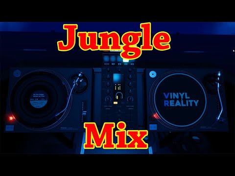 Learning To Mix With Vinyl Reality #9 Jungle Mix