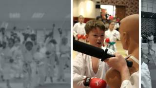 preview picture of video 'Team Black Belt Karate School Solihull. Grading Festival 2015'