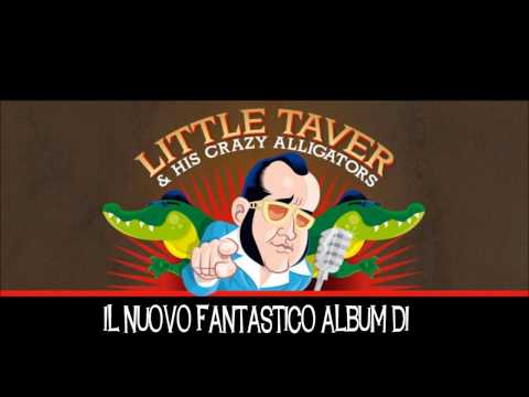 Little Taver & His Crazy Alligators - Teaser album 