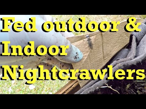 Feed outdoor & indoor nightcrawler systems - worm farm vermicomposting