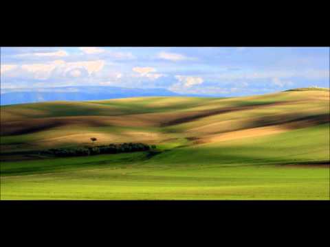 Vino iar acasa - Daniel Negrea