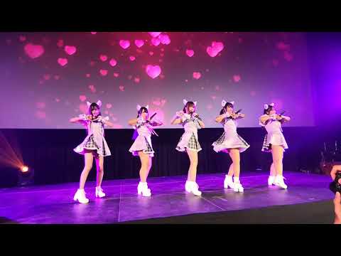 VID0256 J cover dance Shiro Neko Cover Wa-sutap 2 J-Street IDOL Fest @ Major #CMDreamDaisy124851