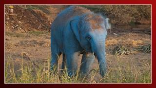 Blossom Dearie -- They Say It&#39;s Spring