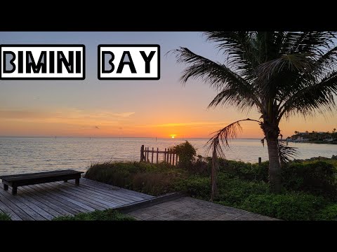 Bimini bay fishing in Anna Maria island Florida