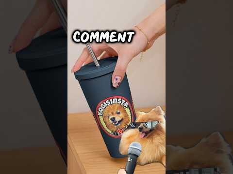 Your Stanley cup if you... #viral #preppy #dog #fyp #funnydog #cute #bottle #shorts