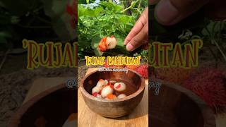 Download lagu MANISAN RUJAK RAMBUTAN #outdoorcooking #asmr #survival #food #nature mp3 Download lagu MANISAN RUJAK RAMBUTAN #outdoorcooking #asmr #survival #food #nature mp3