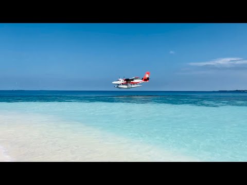 REETHI FARU RESORT 4*, MALDIVES. OUR RATING 9,3/10. LIVE 4K VIRTUAL HOTEL TOUR. #maldives #hotel