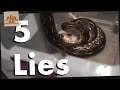 The 5 LIES of Feeding Super Dwarf Retics
