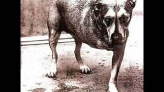 Alice In Chains- I stay away (lyrics in description)