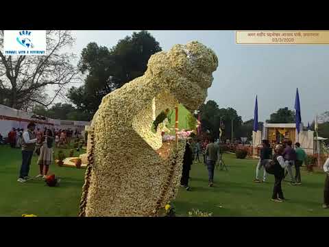 Flower Show 2020 @ Amar Shaheed Chandrashekhar Azad Park, Prayagraj