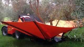 preview picture of video 'Moon Over Martinborough - Olive harvest 2014'