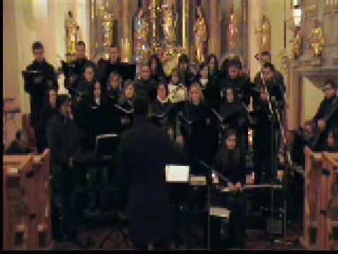 Mladinski pevski zbor Sveti Martin - Ave Verum