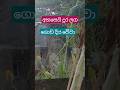Siyalu Sathun Lowa Suwapath Wewa November 15 2025 Viral Shortsviral Trending Video