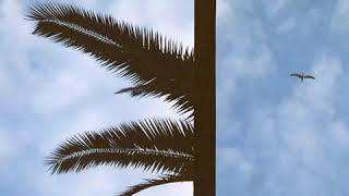 Yüzyüzeyken Konuşuruz - Ölsem Yeridir