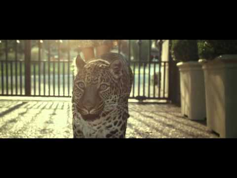 MW Magnum Animals 2m10s