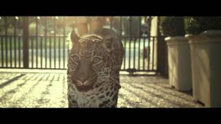 Download lagu MW Magnum Animals 2m10s mp3