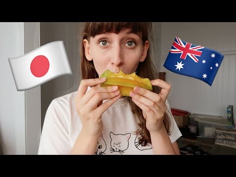 初めての故郷への旅 (My First Trip Back Home)