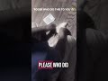 "Roger who did dis to you" 😭🐥🐣 #roger #rodger # chick #fyp #fypシ゚viral #viralvideo