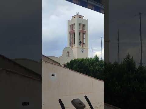 VOLTEO GENERAL - ASUNCIÓN Y VÍSPERAS DE SAN ROQUE (FORMENTERA DEL SEGURA). PURISIMA CONCEPCIÓN