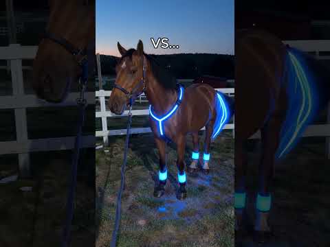 Comment “Horse” if you need this😍🐴#equestrian #gallop #horse #usa #horsebackriding