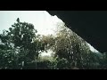 Va Vaya Ne Vadal Umatuya Barish
