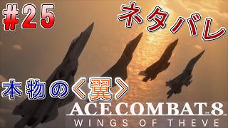 #25【エースコンバット8】-ACE8 WINGS OF THEVE-~本物の＜翼＞~#ネタバレ