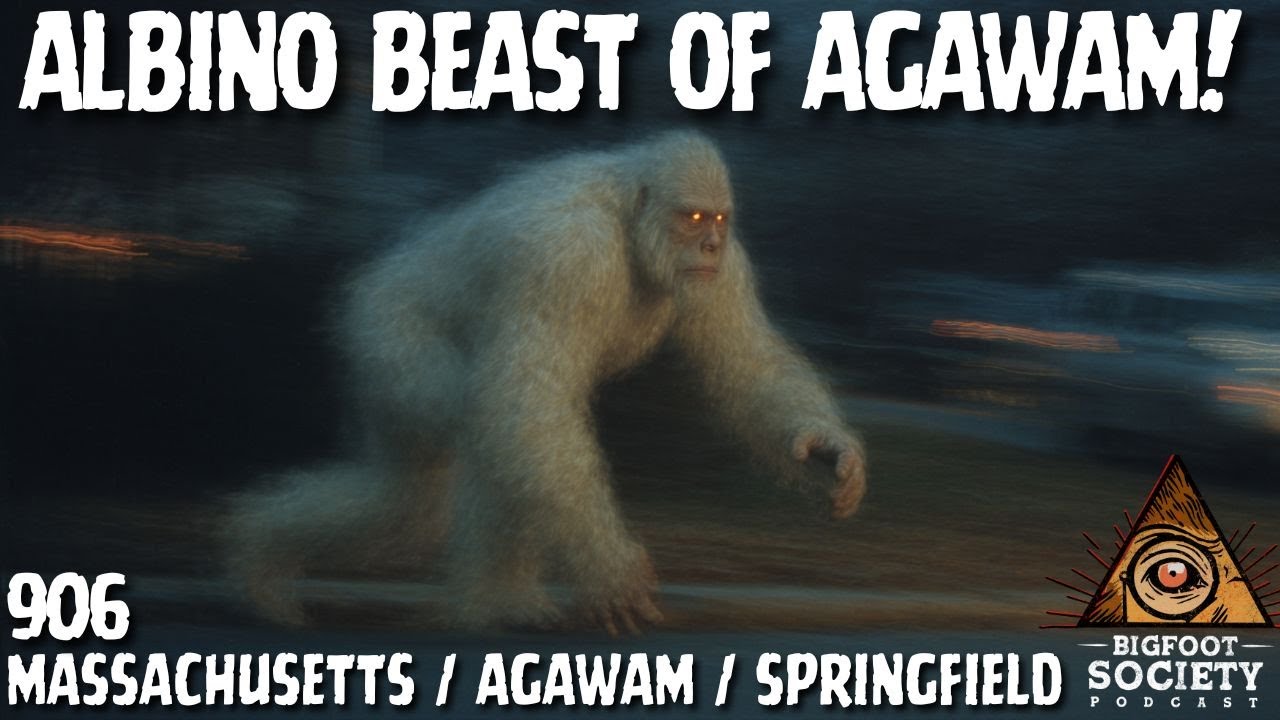 The Galloping Albino Beast of Agawam!