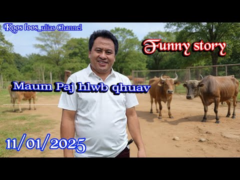 Maum paj hlwb qhuav 11/01/2025