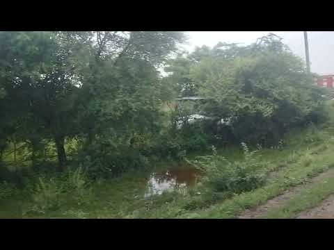 Saiyaara Title Song | Ahaan Panday, Aneet Padda | Tanishk Bagchi, Faheem A, Arslan N | Irshad Kamil