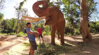 #FindYourJourney: Thailand Elephant Experience in 360 Virtual Reality