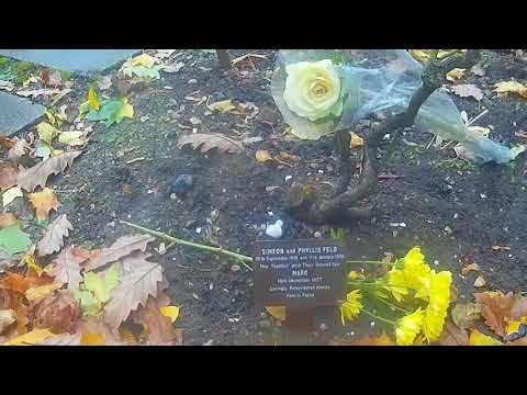 VISITING MARC BOLAN'S GRAVE