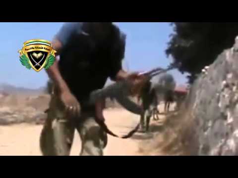 اشتباكات بين لواء البتار وقوات النظام في جبل الأكراد