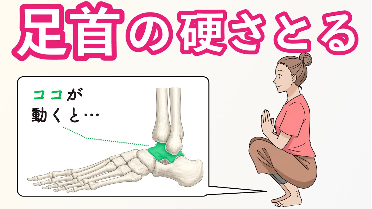 【足首が硬い】ストレッチしても柔らかくならない意外な原因と座ってできるセルフ整体｜つま先が伸びない・しゃがむとかかとが浮く