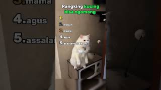 Download lagu cats can talk🤣 mp3