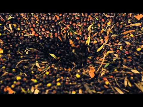 Self-made Video 