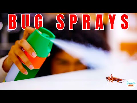 How Do Bug Sprays (Like Raid and Baygon) Kill Cockroaches?