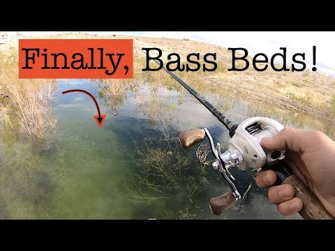 Fishing Bass Beds - Preparing for the Best Bass Season - Sight Fishing