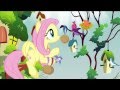 Filli Vanilli - 'Music in the Treetops' Song 