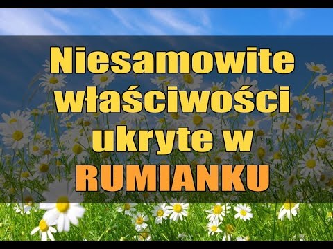 Może on być wysuszony suszarka do włosów po olej Brak białka i wypadanie włosów