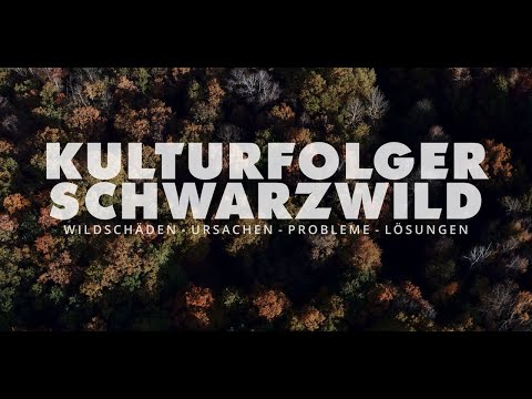 Kulturfolger Schwarzwild - Wildschäden - Ursachen-Probleme-Lösungen