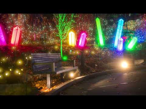Towerhill Lights