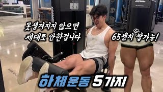 새다리에서 허벅지 65cm로 만들어준 5가지 하체운동루틴