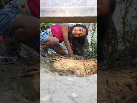 Kya maha dhundh payegi kiwi ko?