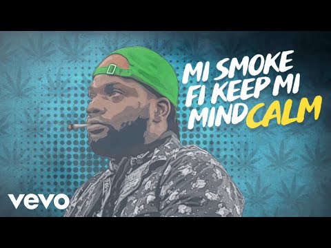 Chronic Law - Love Weed (Official Music Video)