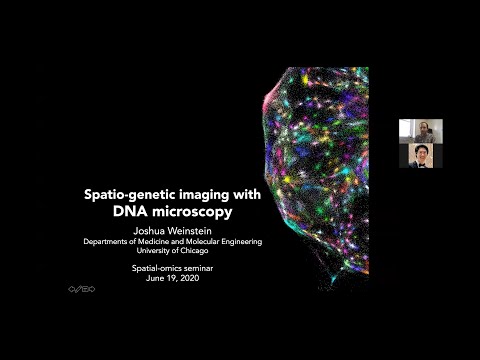 Spatio-genetic imaging with DNA microscopy (Speaker: Joshua Weinstein, University of Chicago)