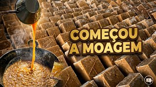 Engenho de Rapadura- Início da Moagem em Barbalha Ceará 18 de junho de 2026